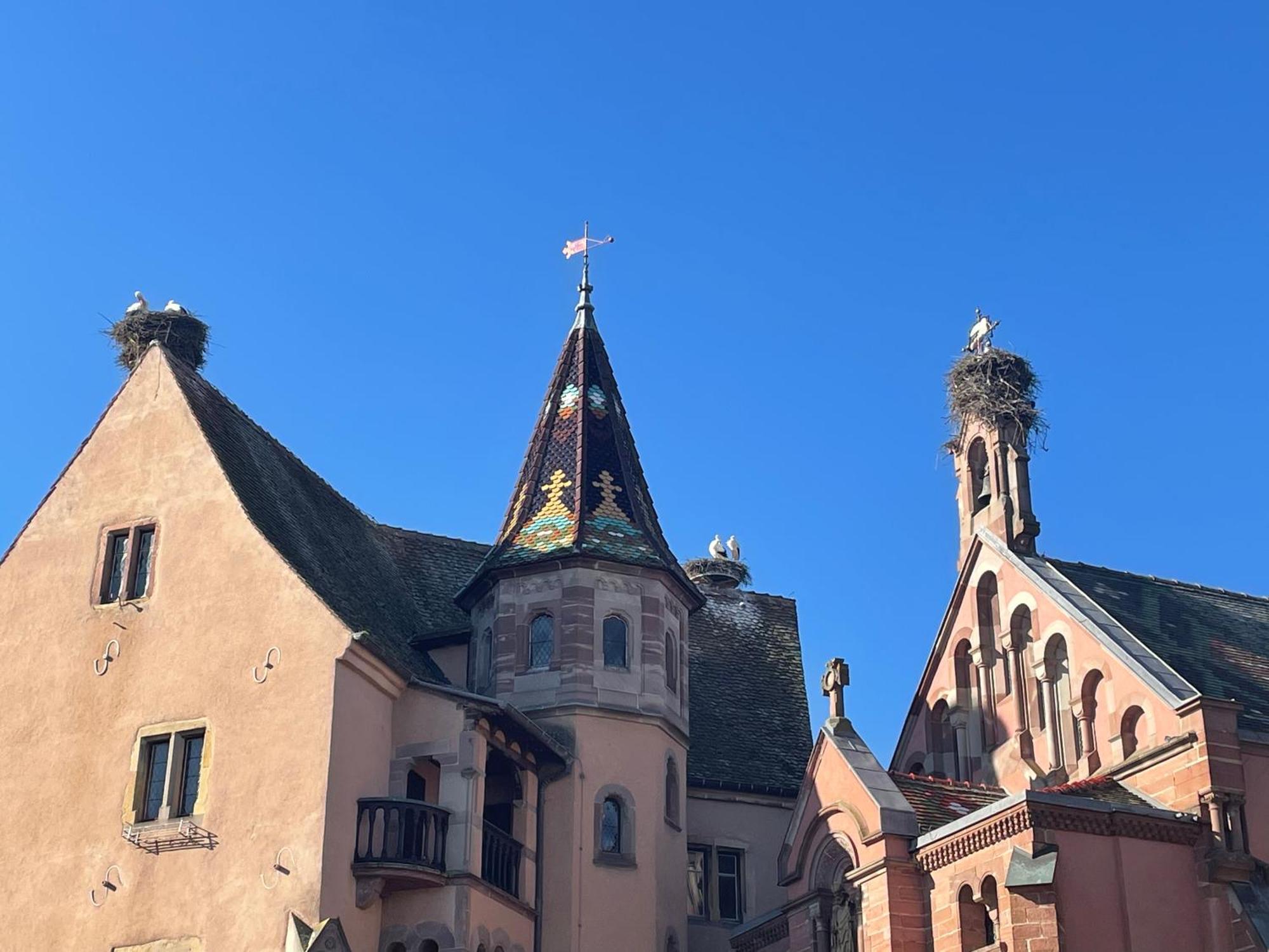 Appartement Le Ch'Ti Alsacien Eguisheim Exteriér fotografie